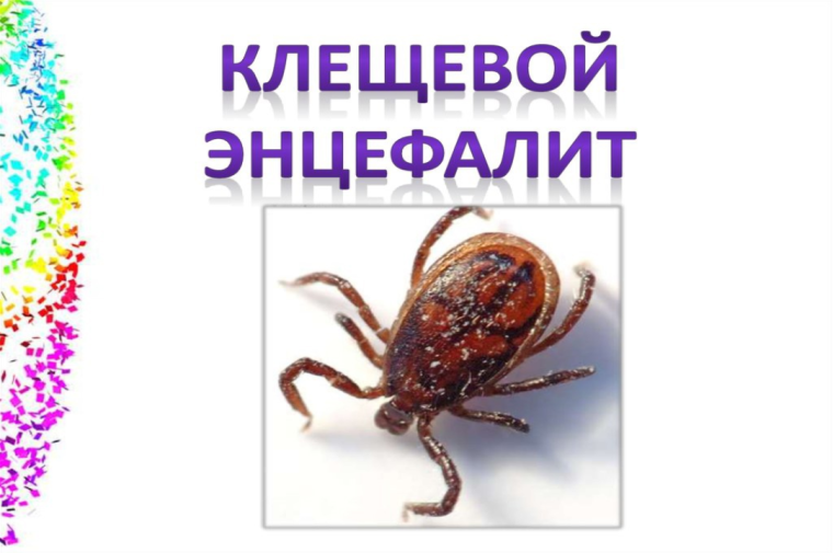 Профилактика клещевого вирусного энцефалита.